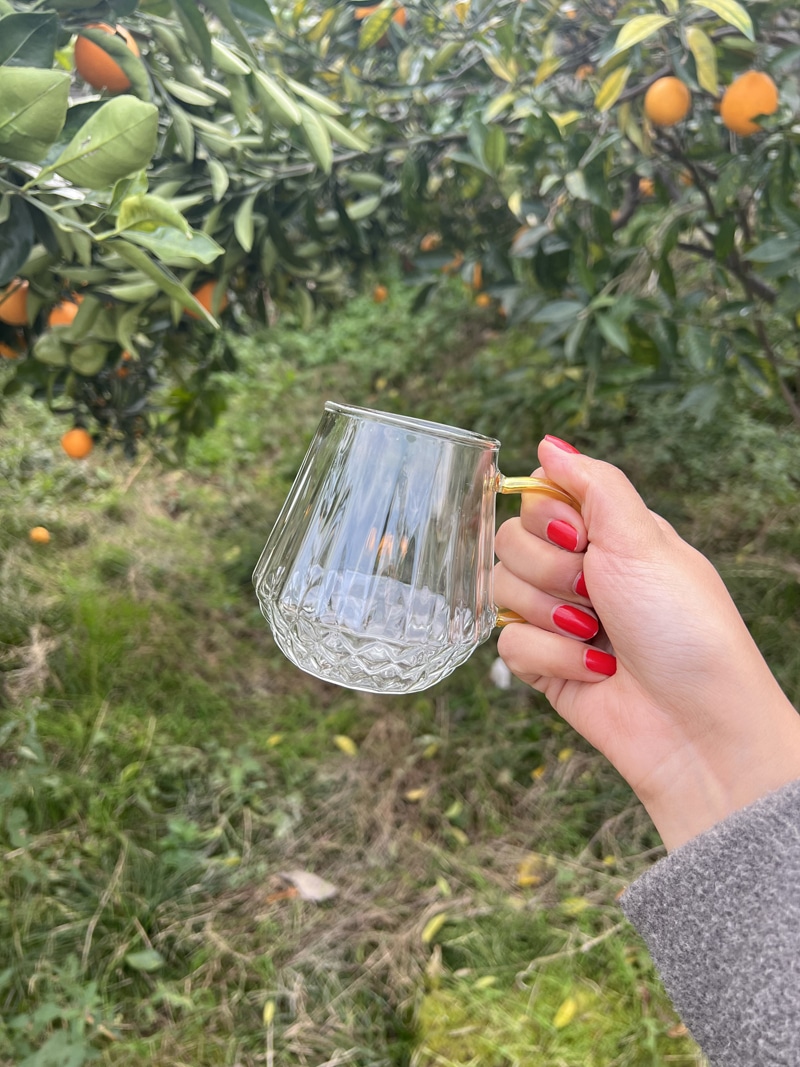 ماگ پیرکس شیاردار زیره باریک چندضلعی دسته طلایی آنتی شوک