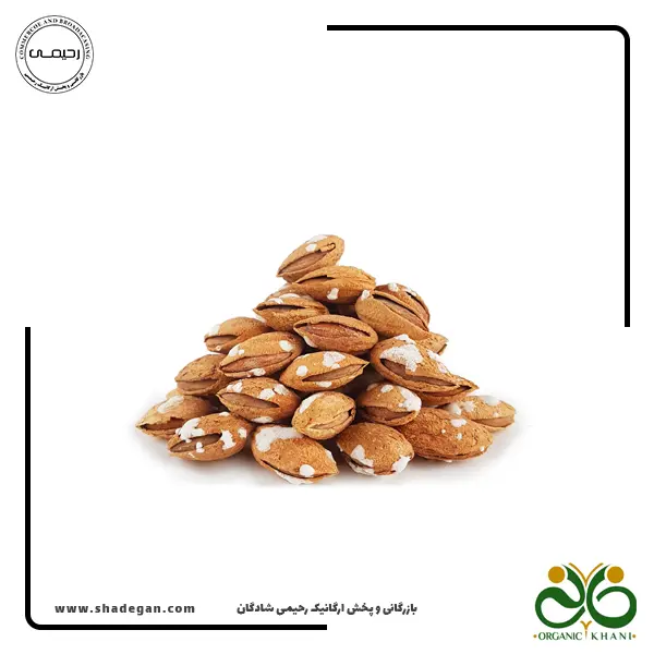 بادام درختی کاغذی شور