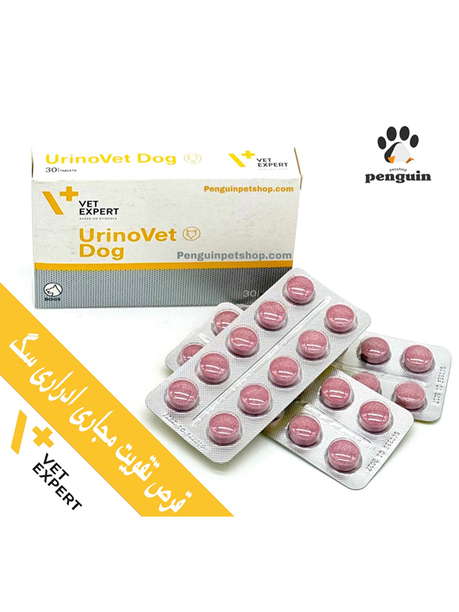 قرص تقویت سیستم مجاری ادراری وت اکسپرت سگ بسته 30 عددی