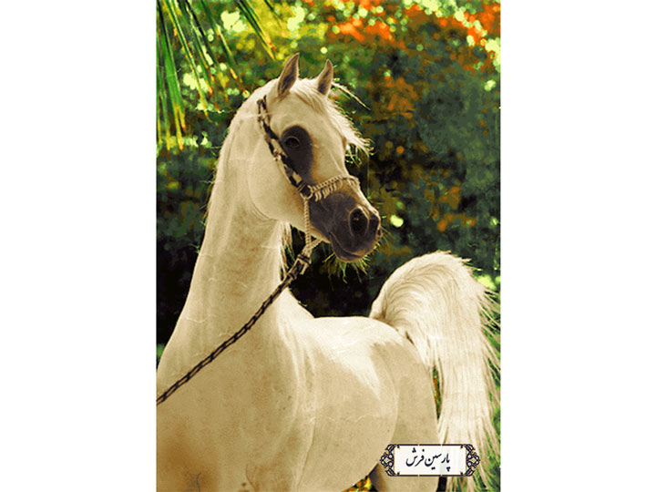 سفارش نخ و نقشه تابلو فرش طرح اسب جوان - کد NH3517