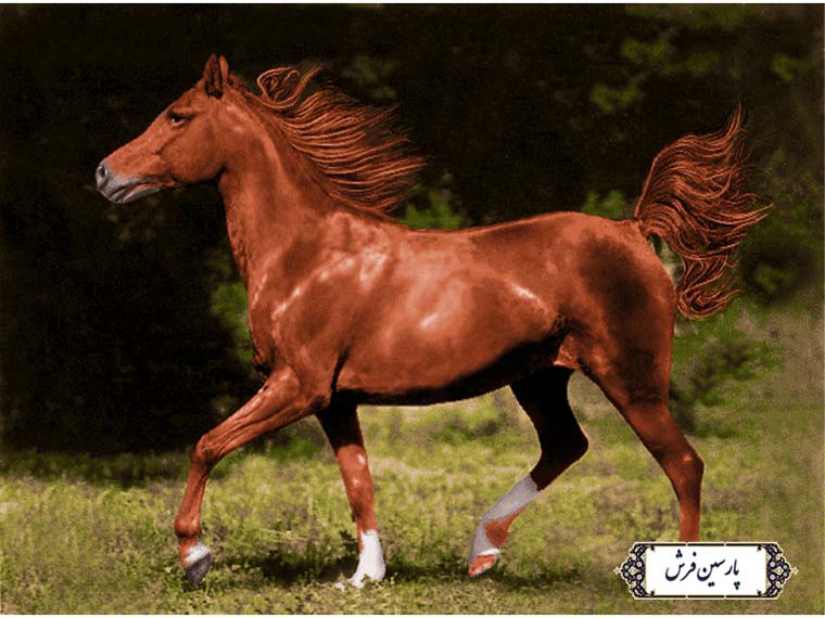 نخ و نقشه تابلو فرش طرح یورتمه اسب - کد NH3546