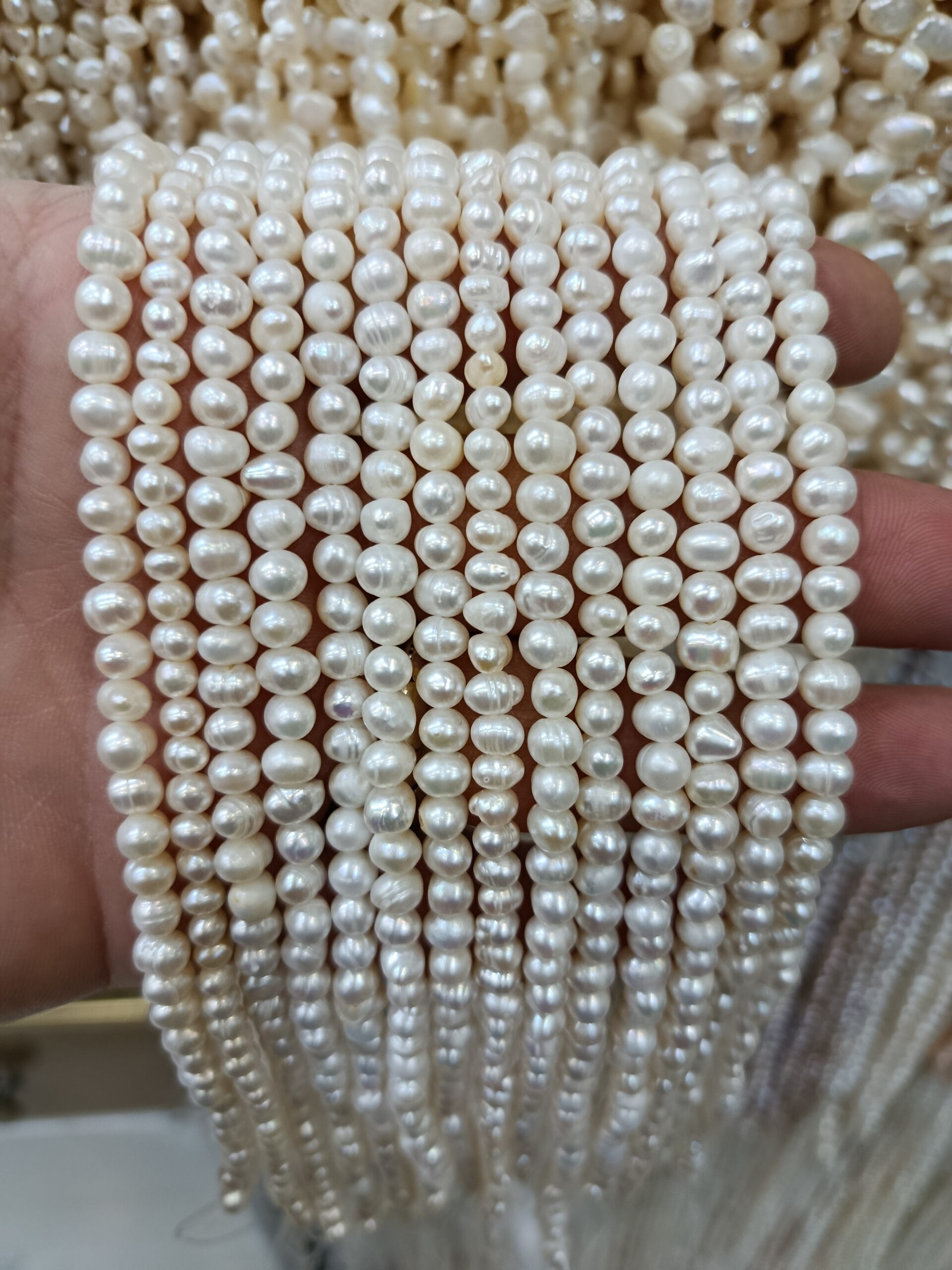 خرید مروارید سایز ۵ اصل پرورشی