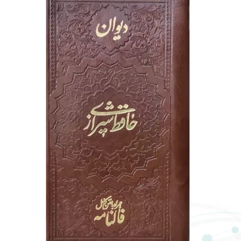 حافظ پالتویی چرم