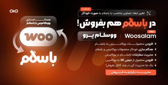 ووسلام پرو، افزونه اتصال ووکامرس به باسلام