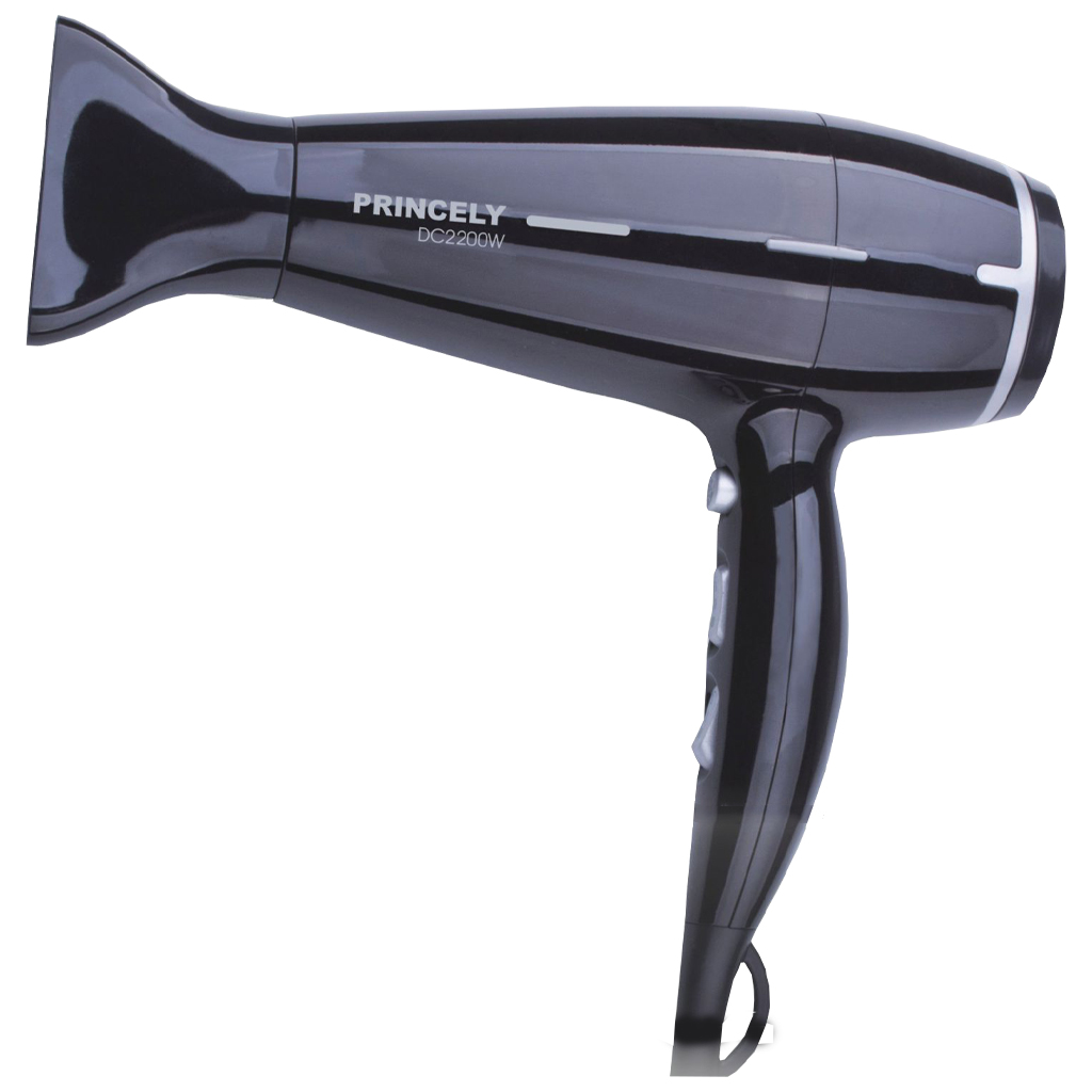 سشوار حرفه ای پرنسلی مدل PR238AT