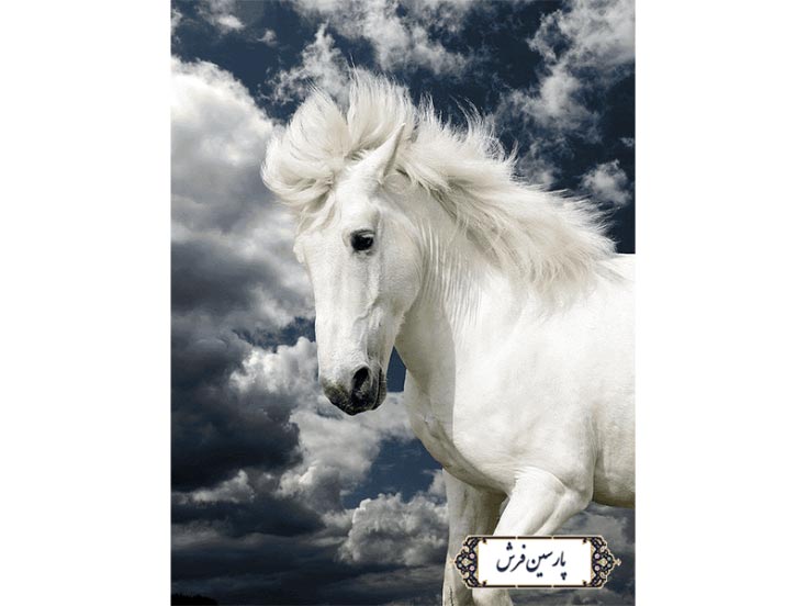 نخ و نقشه تابلوفرش طرح اسب سفید  - کد NH3530