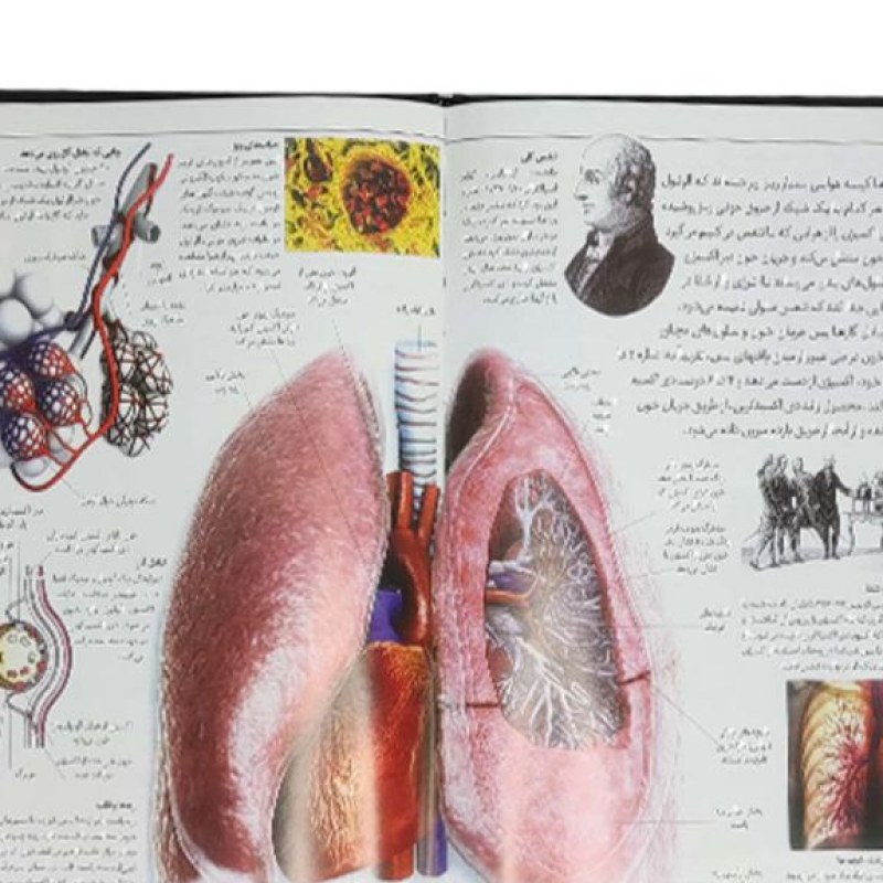 دانشنامه مصور بدن انسان