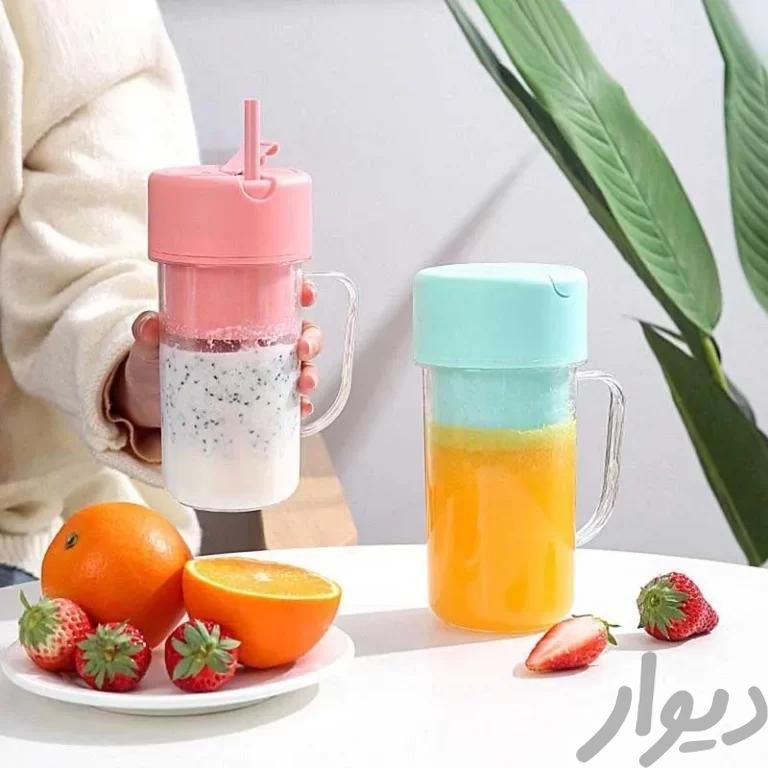 شیکر و مخلوط کن شارژی STRAW-TYPE مدل HP-08