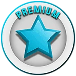 خرید آیتم روبلاکس (کپی) - Brookhaven, Premium