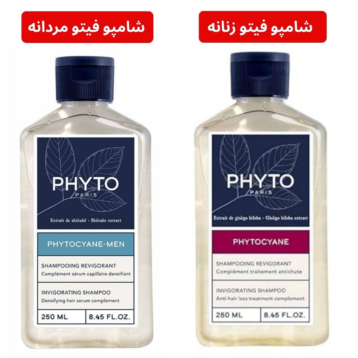 شامپو فیتو