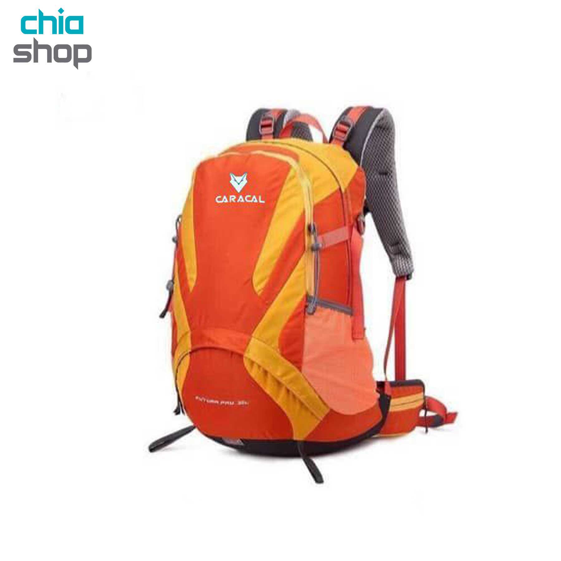 کوله‌پشتی 22 لیتری کاراکال مدل Caracal Futura pro
