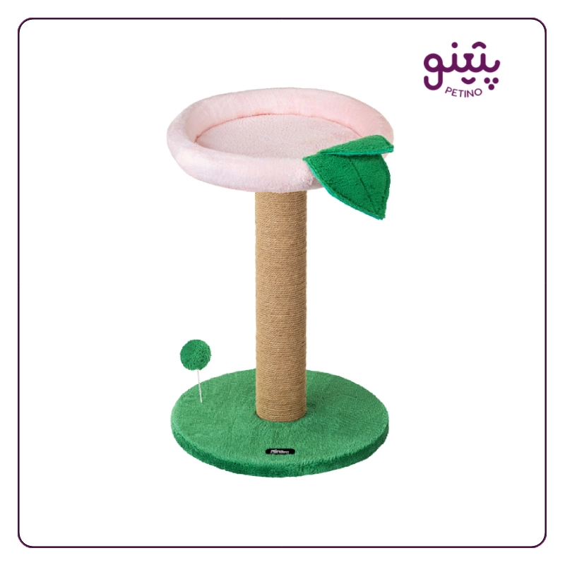 اسکرچر گربه دو طبقه هلو نیناپت