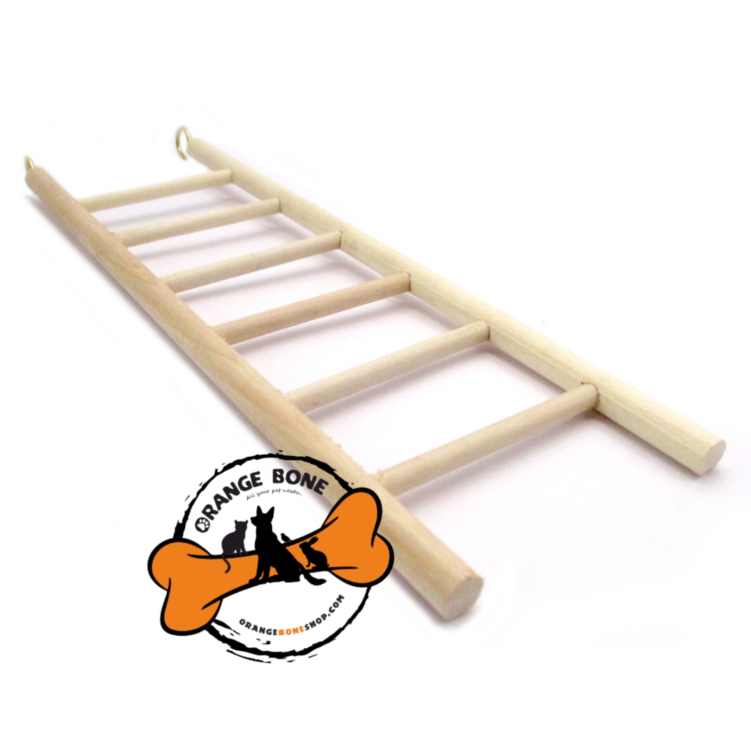 نردبان خراطی بزرگ پرنده