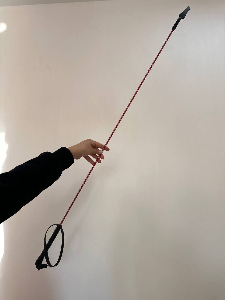 شلاق کله اسبی رنگی درساژی