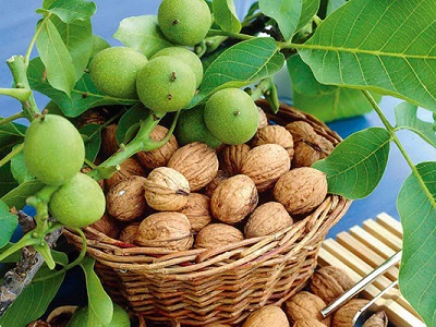 گردو (نیم کیلویی)
