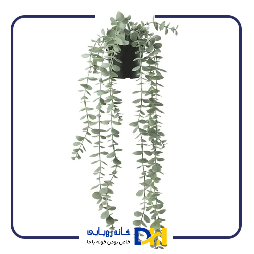 بوته اکالیپتوس ایکیاFEJKA