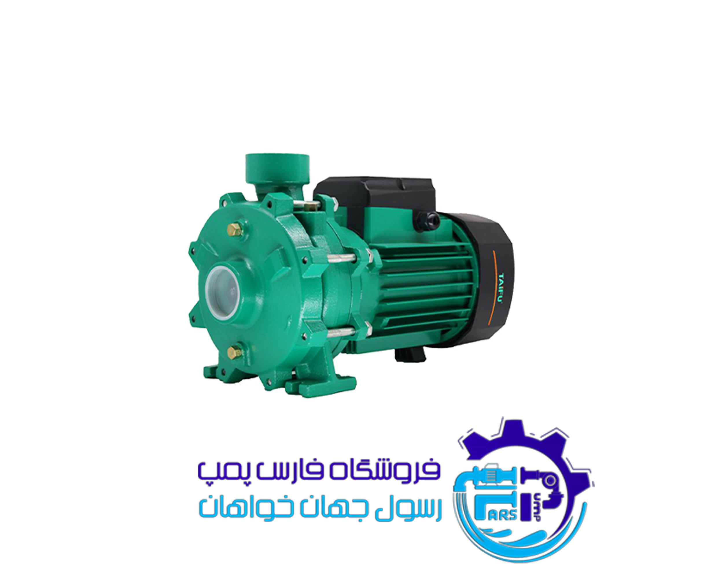 الکتروپمپ دو نیم اسب دو اینچ THF6B-4 تایفو TAIFU