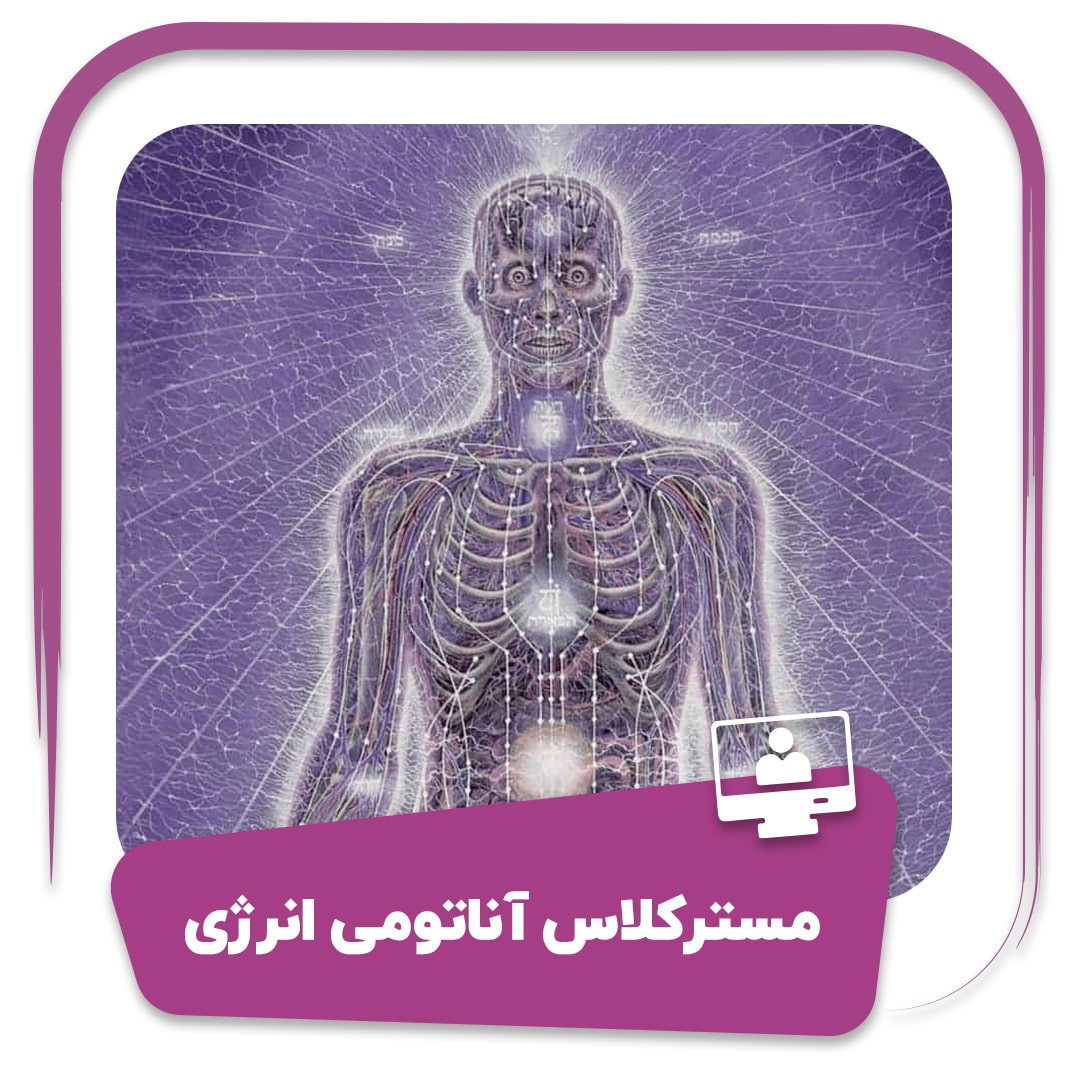 مستر کلاس آناتومی انرژی