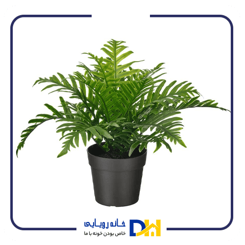 بوته مصنوعی سرخس ایکیا FEJKA