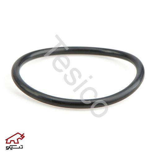 اورينگ 13048 دامپتراک