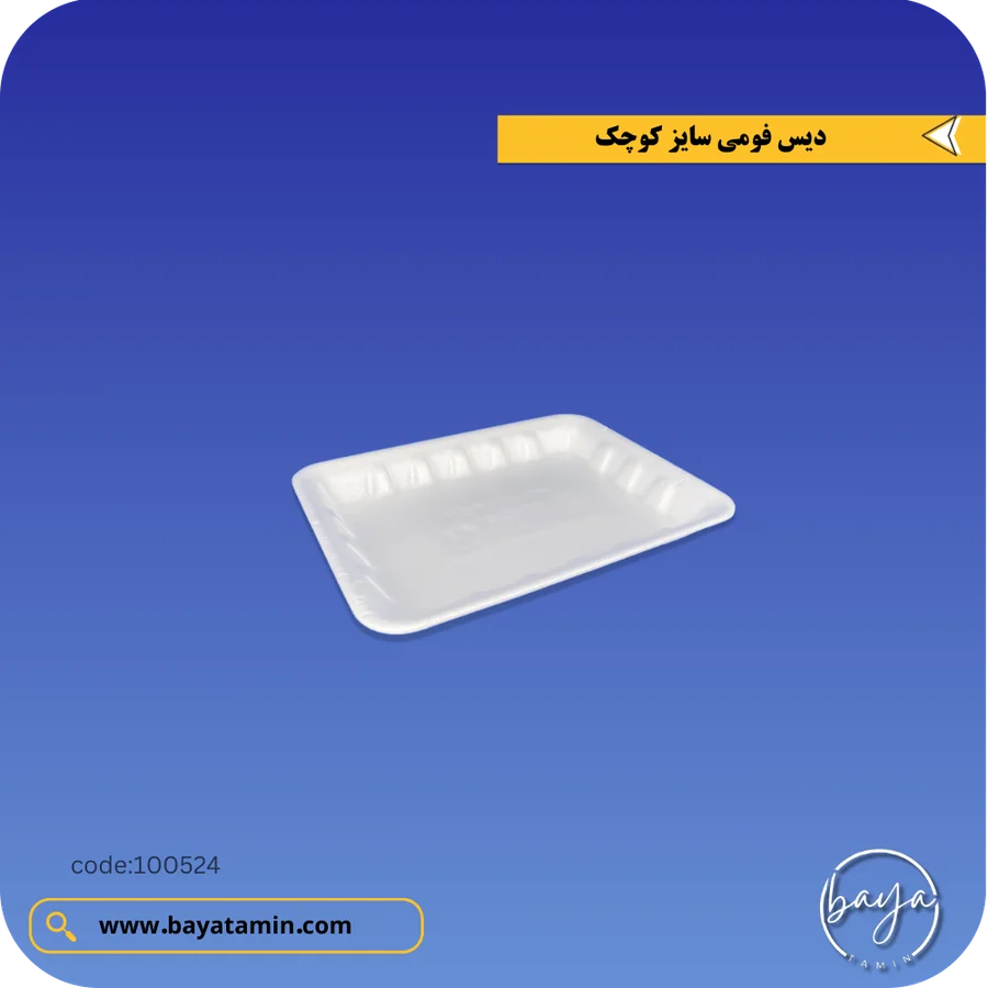 دیس فومی سایز کوچک