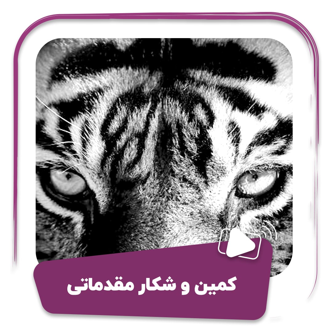 فیلم کمین و شکار مقدماتی