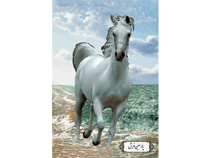 سفارش نخ و نقشه تابلو فرش طرح اسب کنار دریا  - کد NH3518