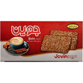 بیسکویت جوین گرجی با طعم ماسالا 500 گرم