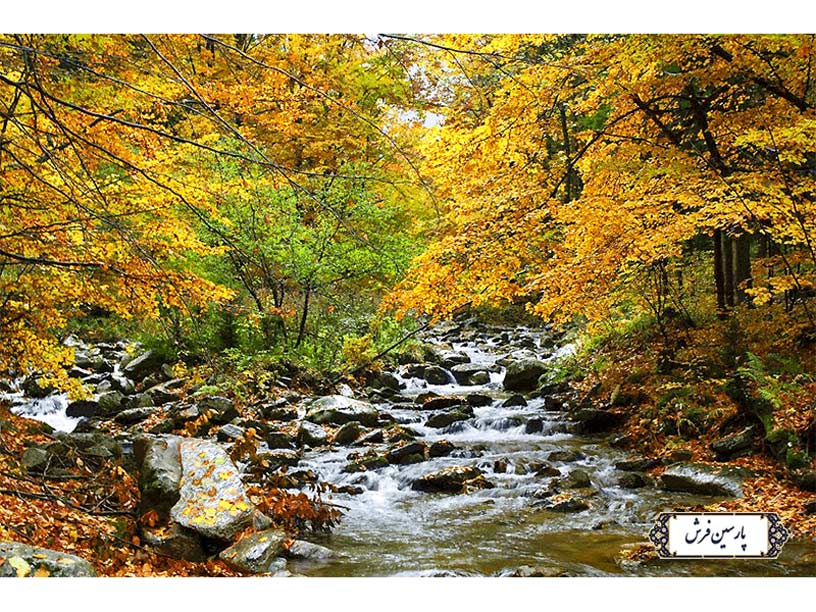 نخ و نقشه تابلو فرش منظره زیبا پاییزی - کد NV863