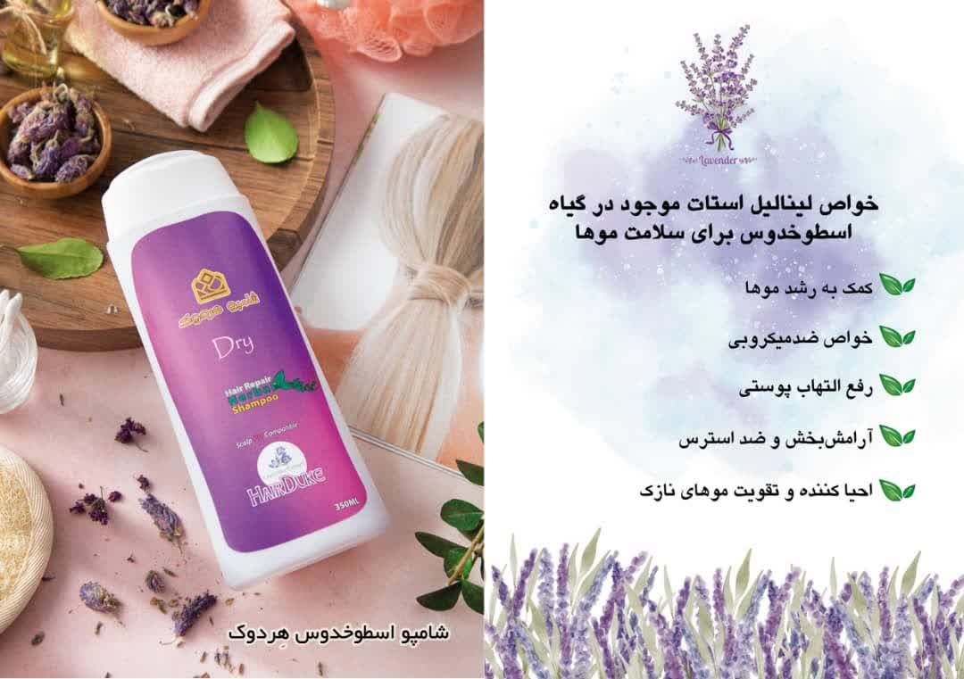 شامپو اسطوخودوس سنتی هردوک ۵۰۰ میل