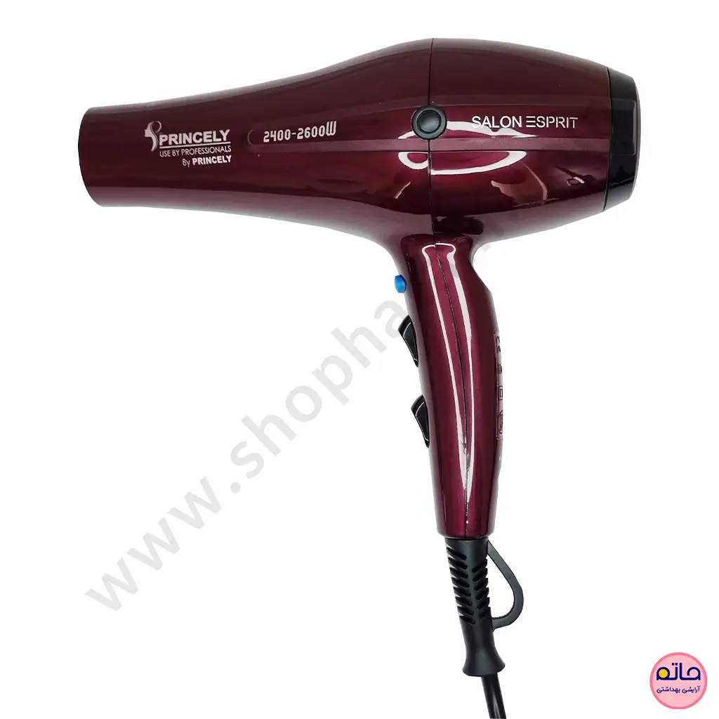 سشوار حرفه ای 2600 وات پرنسلی مدل PR250AT
