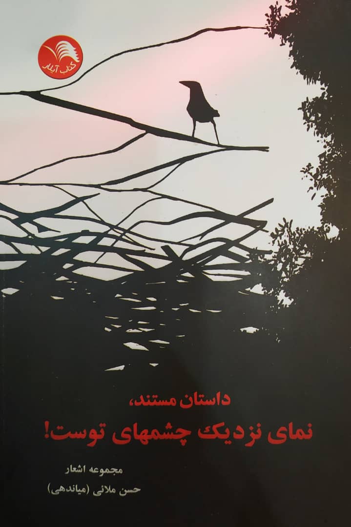 کتاب داستان مستند، نماي نزديک چشم هاي توست! - آیلار