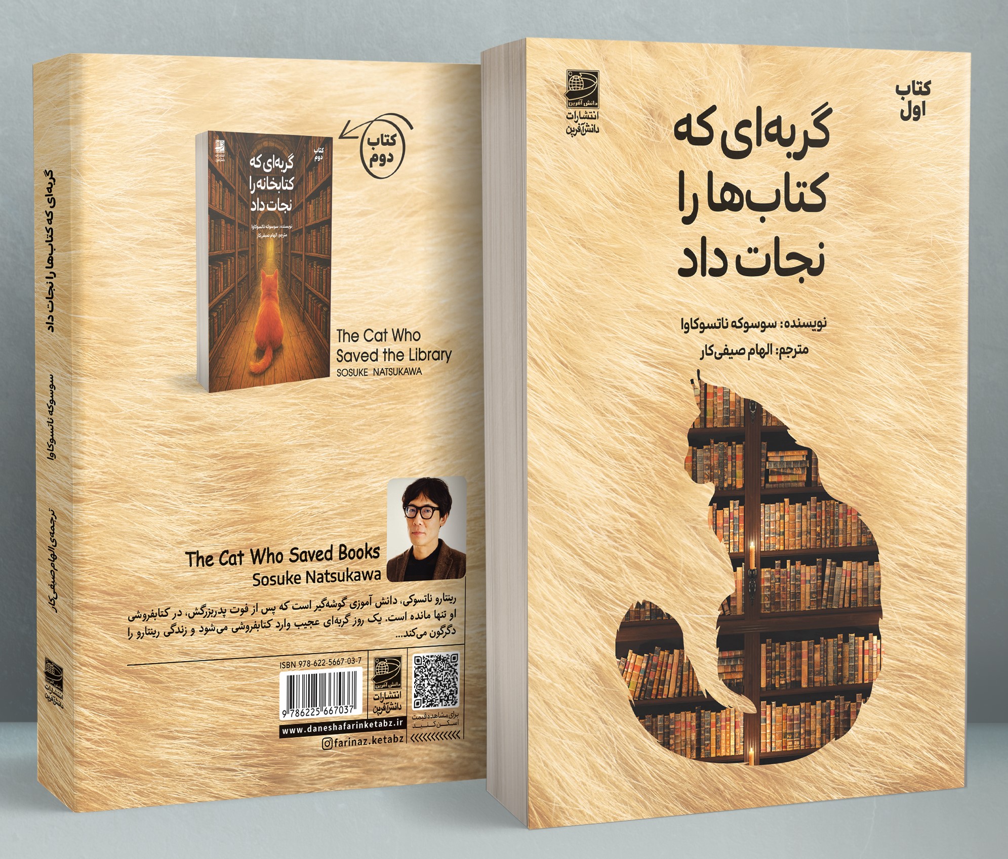 گربهای که کتابها را نجات داد