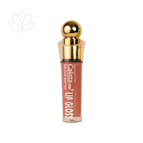 رژلب مایع 24 ساعت کالیستا مدل Gloss Lip شماره 6