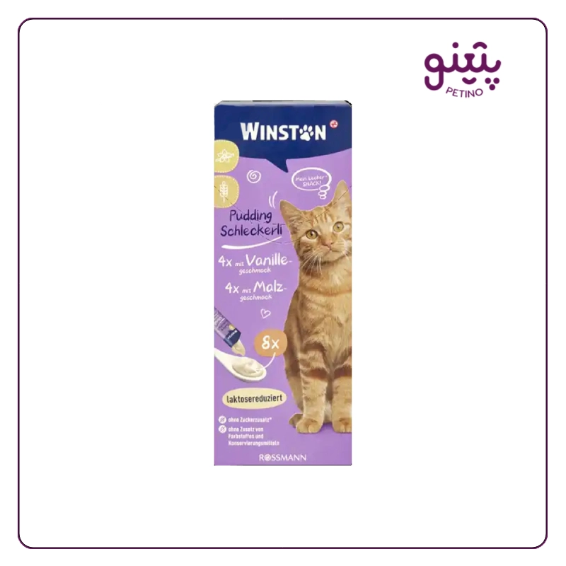 بستنی گربه وینستون با طعم مالت و وانیل