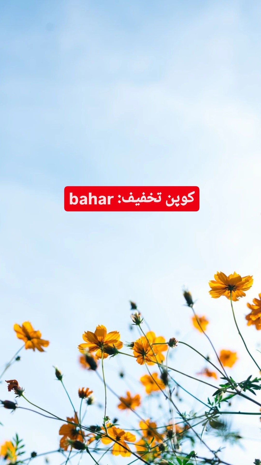 تخفیف 25 درصدی به مناسبت سال نو با کوپن bahar