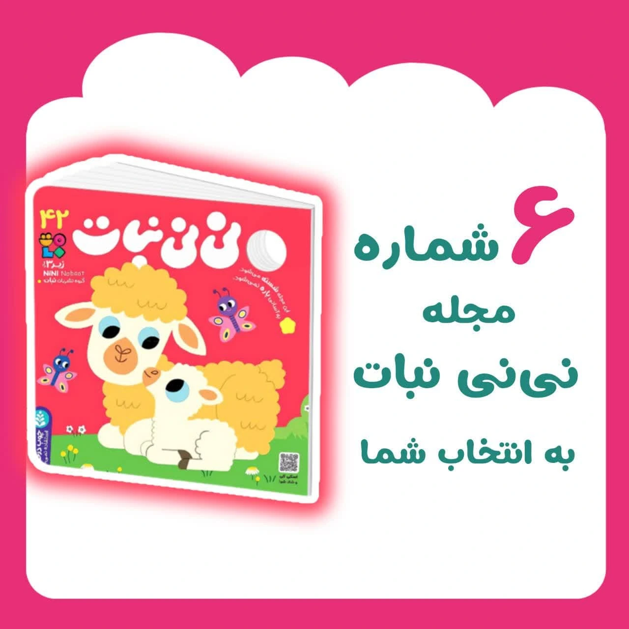 بسته 6 جلدی نی نی نبات
