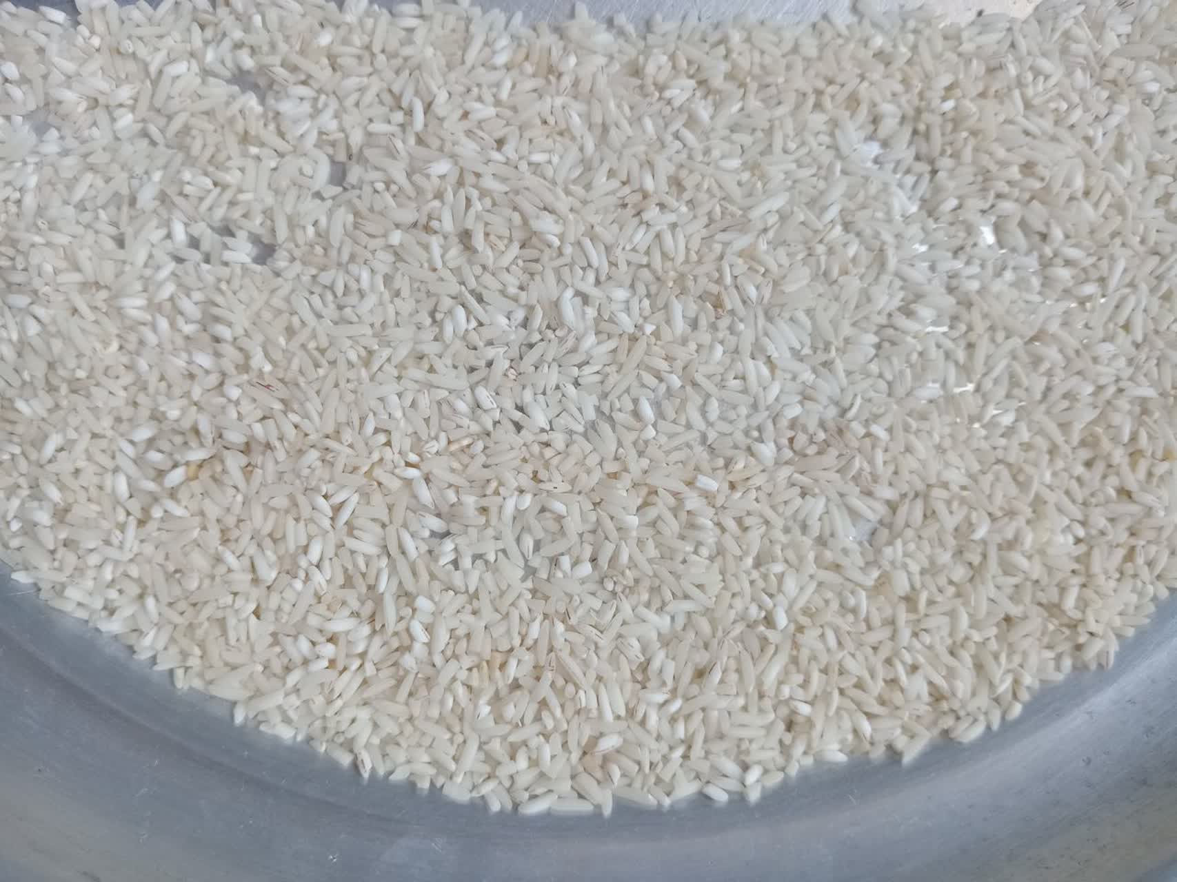 برنج سرلاشه هاشمی عالی خوش عطر و بو