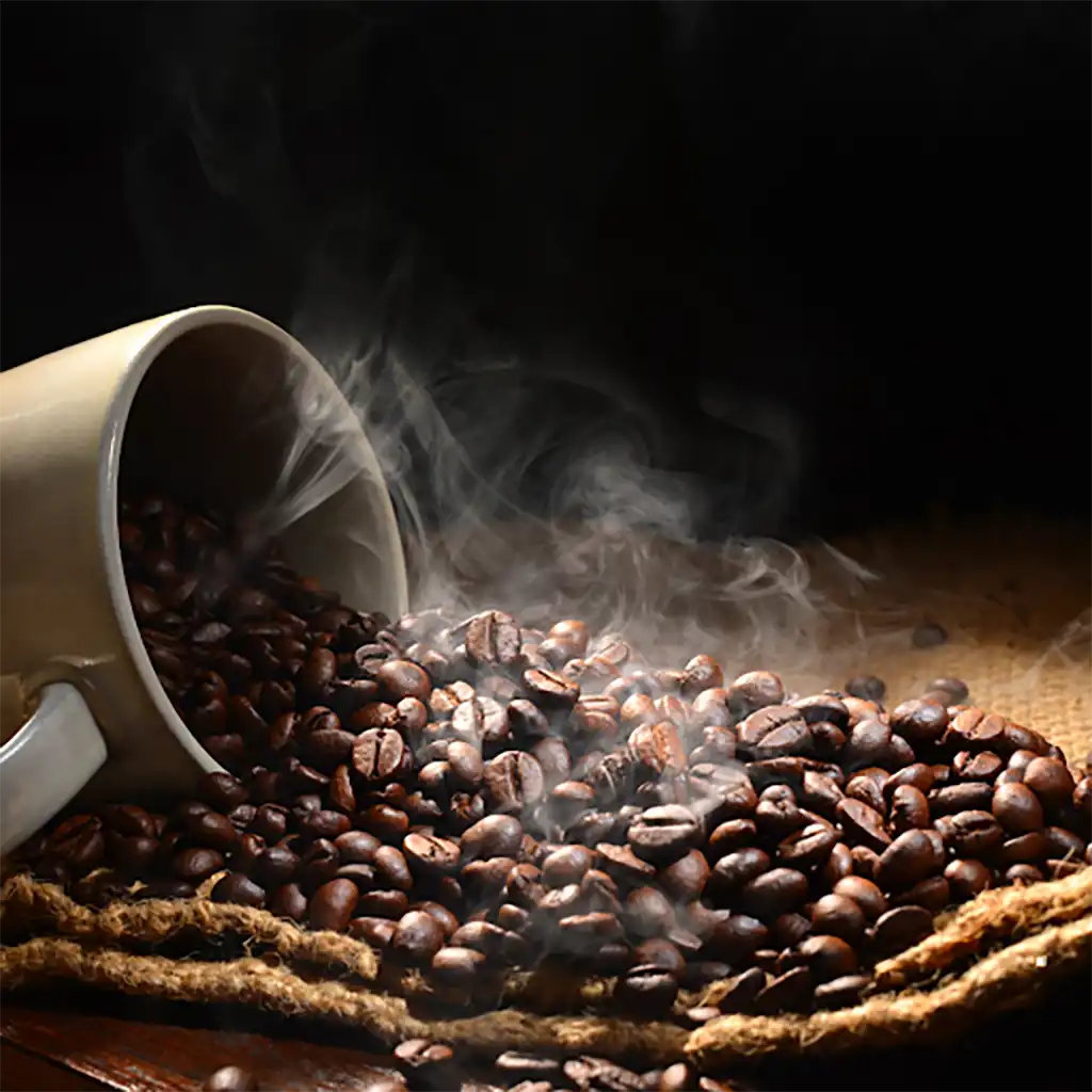 میکس ۱۰۰ روبوستا (سوپر فول کافئین)