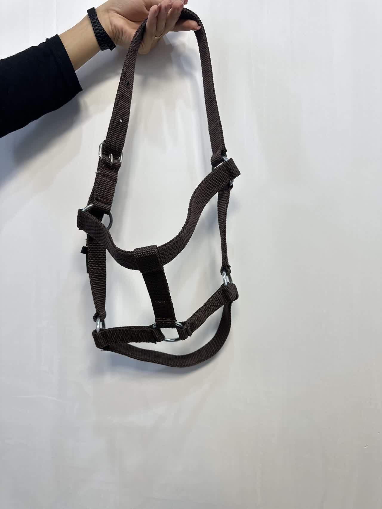 کله گی سر آخور ارش