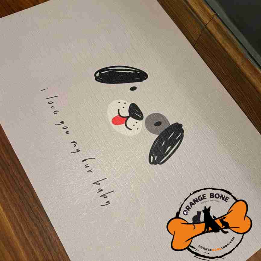 مت ظرف غذا سگ و گربه کوکوپت (سایز بزرگ)