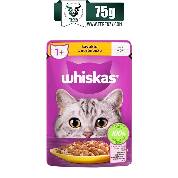 پوچ گربه بالغ ویسکاس طعم مرغ در ژله وزن 85 گرم Whiskas
