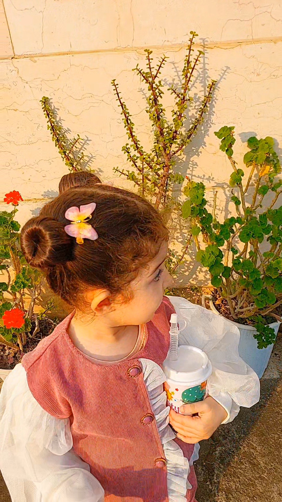 انبری پروانه حریر(دونه ای)