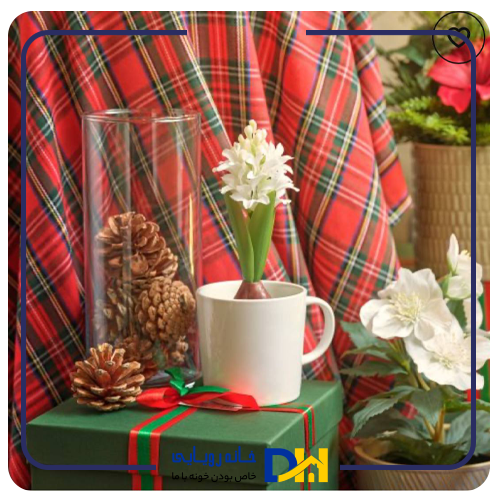 بوته گل ارکیده ایکیا VINTERFINT