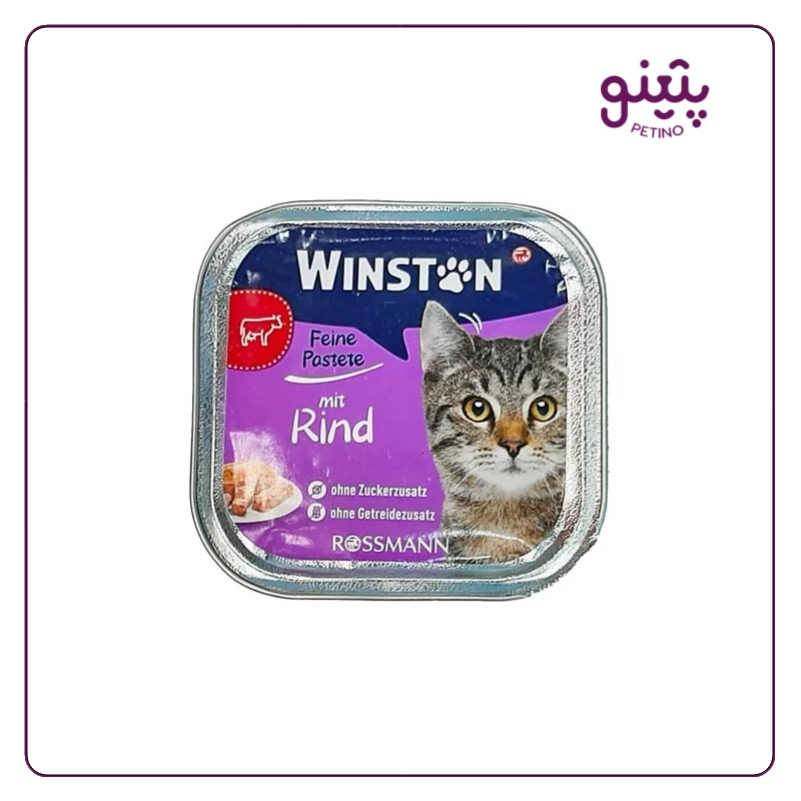 ووم گربه وینستون با طعم گوشت گاو