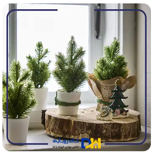بوته کاج کوچک ایکیا VINTERFINT