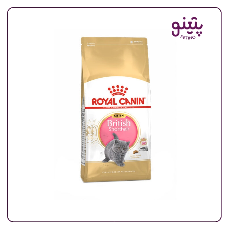 غذای بچه گربه بریتیش رویال کنین