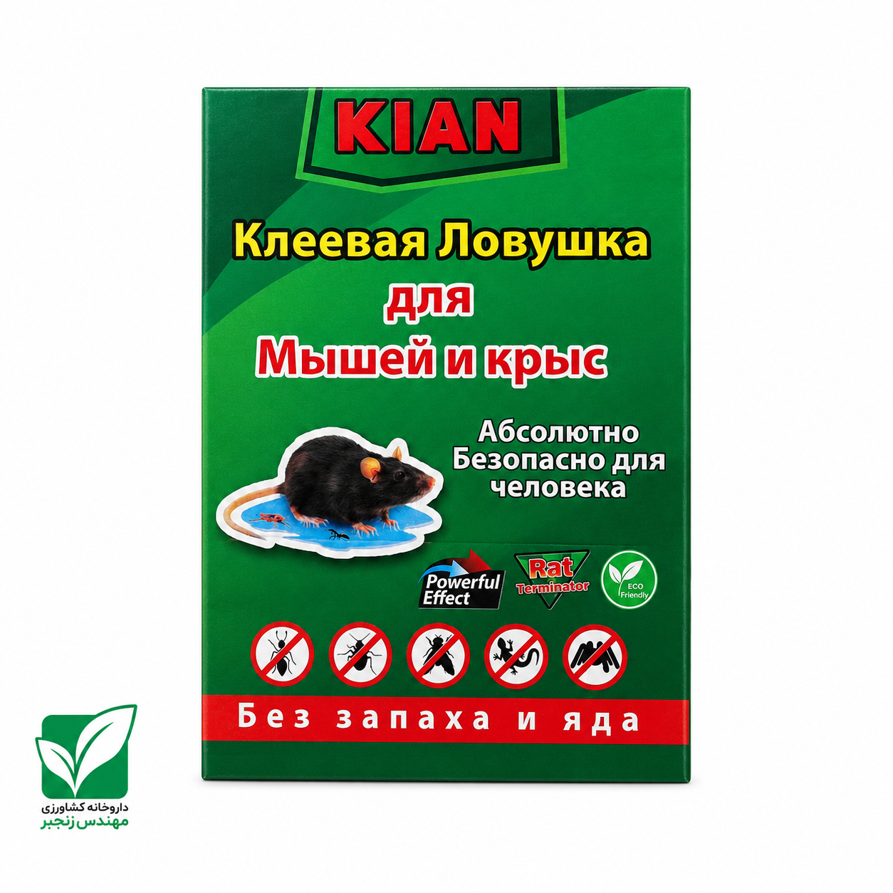 چسب موش کتابی کیان