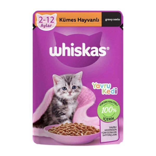پوچ گربه ویسکاس مدل جونیور طعم مرغ وزن 85 گرم
