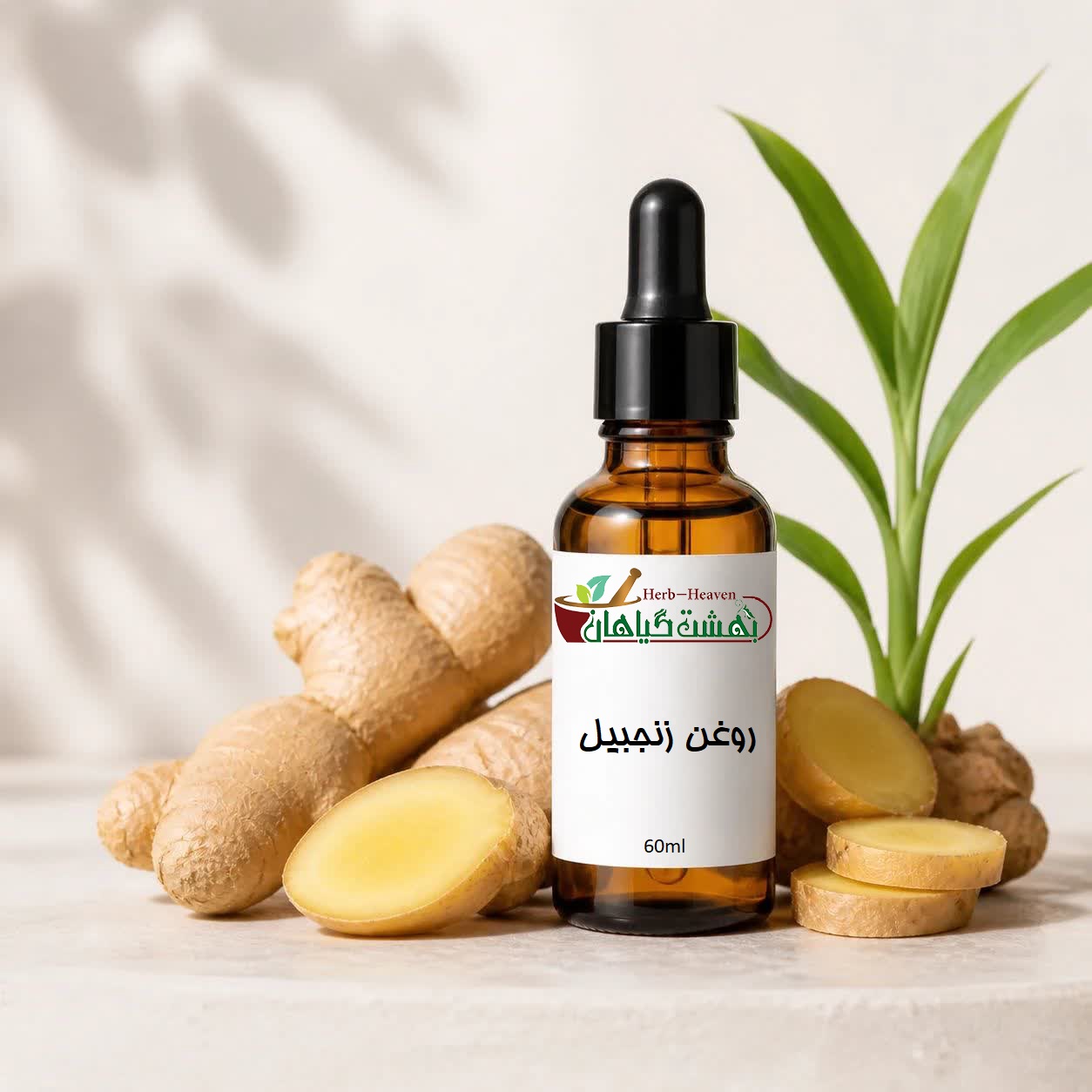 روغن زنجبیل موضعی 60 میلی لیتری عطاری بهشت گیاهان